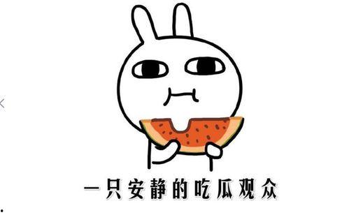 吃瓜是啥意思啊