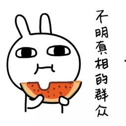 过度解读娱乐吃瓜酱